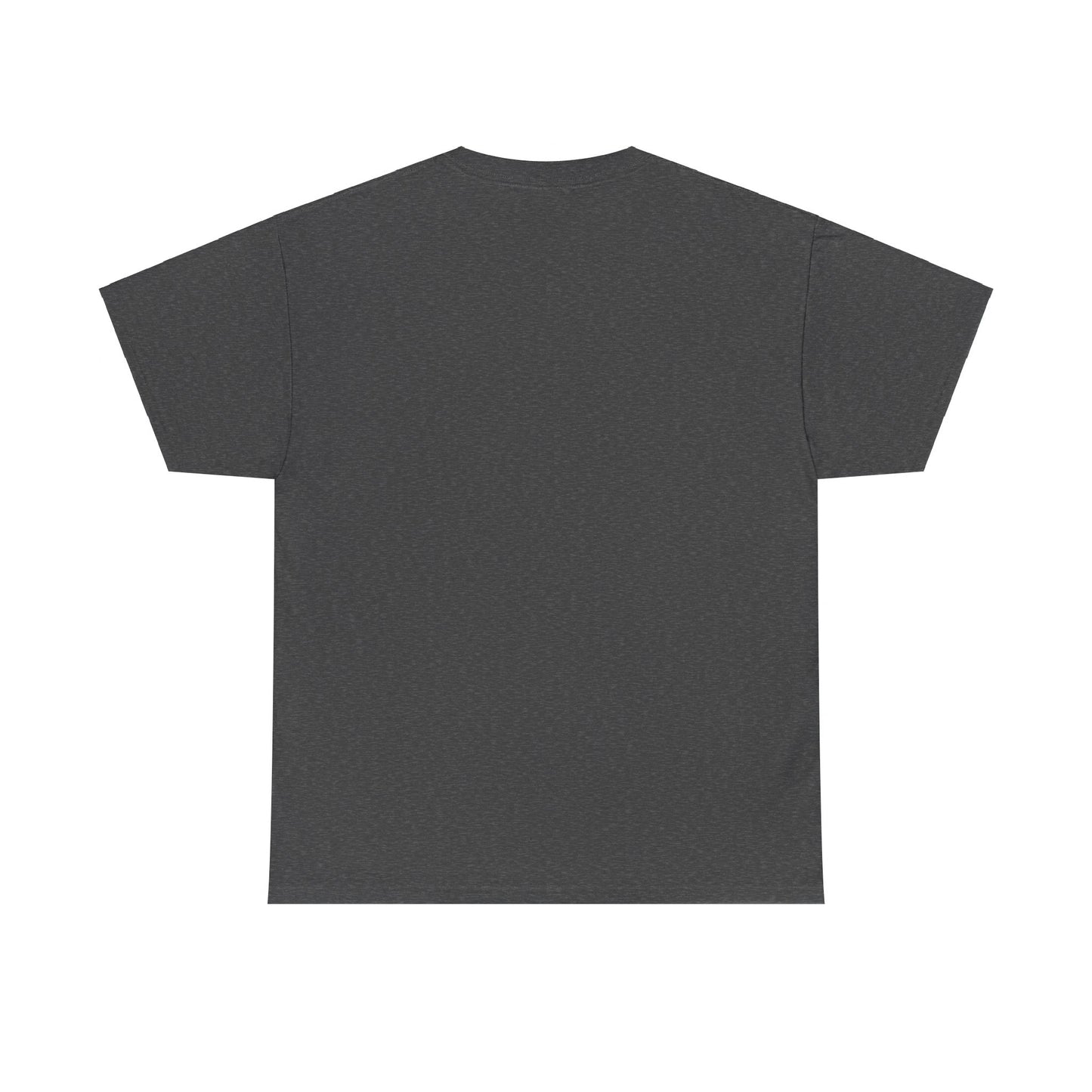 Arizona's arid landscape t-shirt