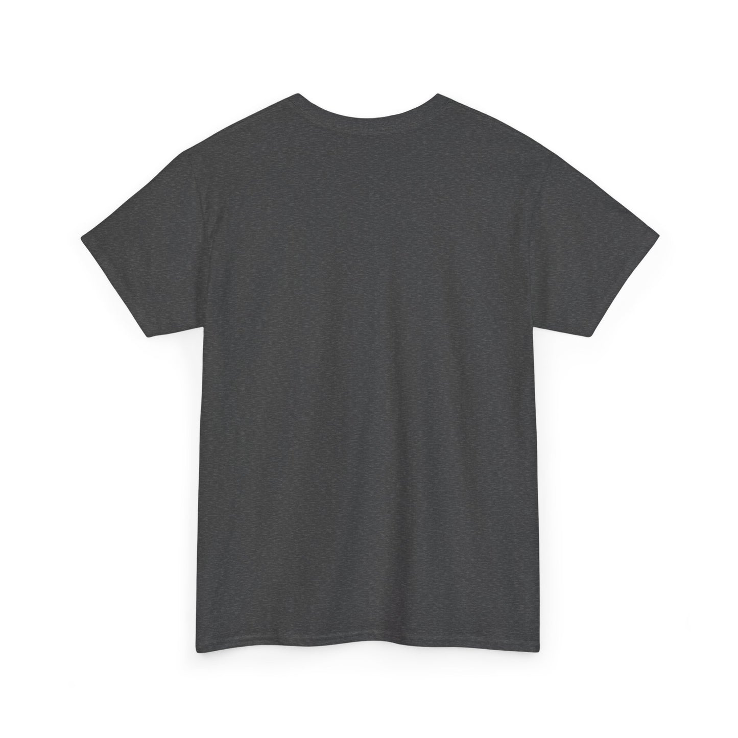 Arizona's arid landscape t-shirt